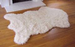 Bear Rugs